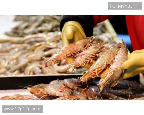 青岛国信水产在主场取得惊人连胜，赛季表现持续火热