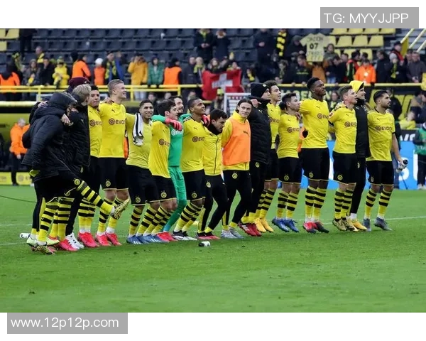 德甲球队:共克疫情,迎接复苏挑战 德甲球队:共克疫情,迎接复苏挑战