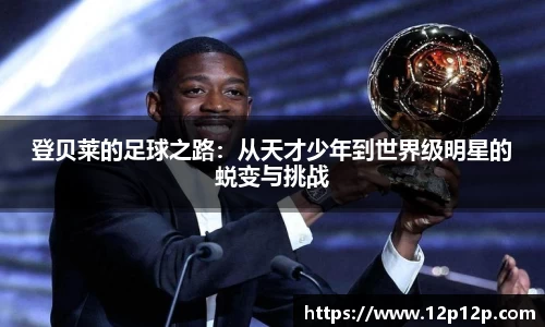 ld乐动手机网页版登录