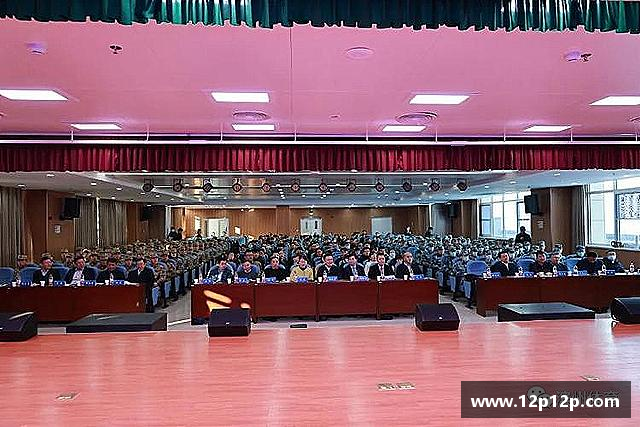 解读ld乐动最新地址